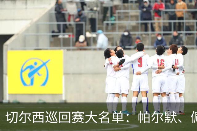 切尔西巡回赛大名单：帕尔默、佩德罗领衔，帕莱斯特拉在列