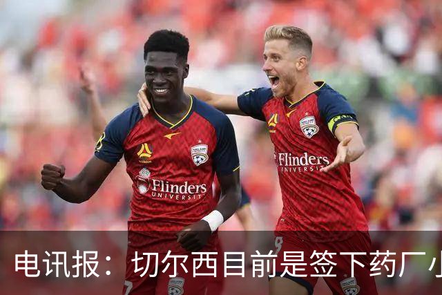 电讯报：切尔西目前是签下药厂小将阿拉伊贝戈维奇的最大热门