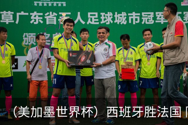 （美加墨世界杯）西班牙胜法国 队史第二次闯入世界杯决赛